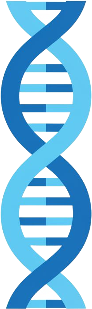 DNA Helix