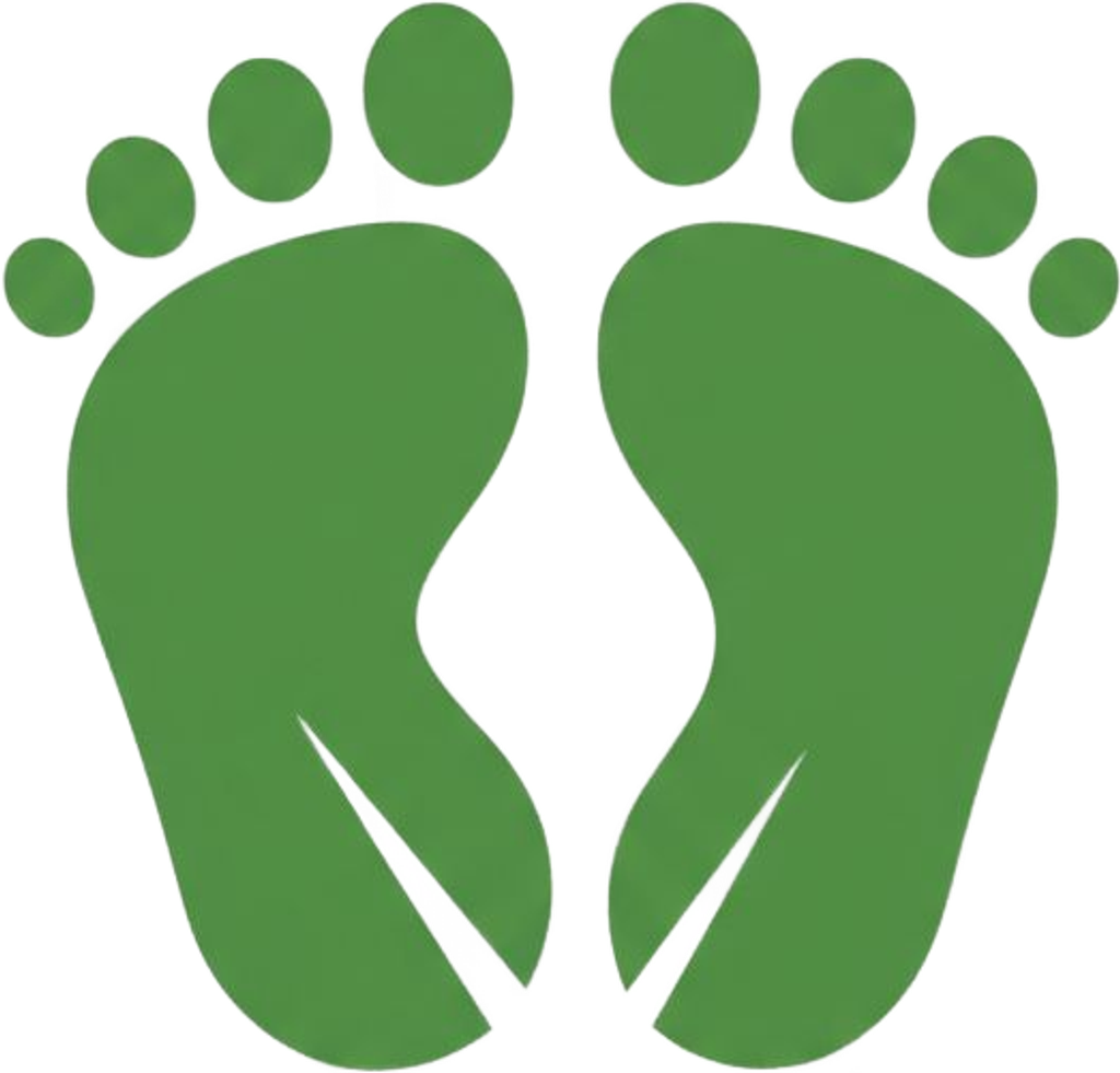 Environmental Impact